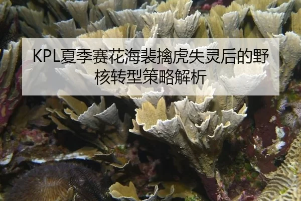 KPL夏季赛花海裴擒虎失灵后的野核转型策略解析